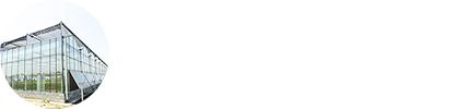 濰坊市華騰生態(tài)農(nóng)業(yè)科技發(fā)展有限公司